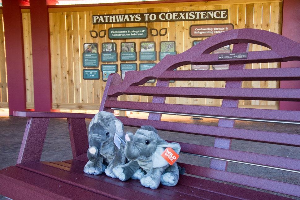 Milan Bench in Cherry Wood located at the Cincinnati Zoo's Elephant Trek