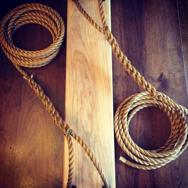 Double Ash Tree Swing