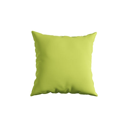 Cushion Perfect 20 in. Sunbrella Square Outdoor Pillow