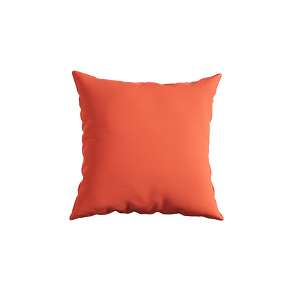 Cushion Perfect 20 in. Sunbrella Square Outdoor Pillow