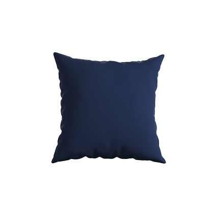 Cushion Perfect 20 in. Sunbrella Square Outdoor Pillow