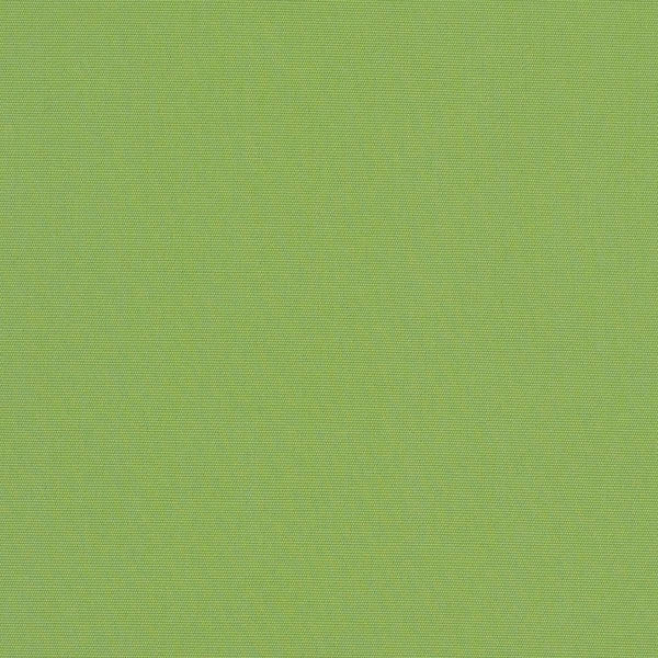 Canvas Ginkgo
