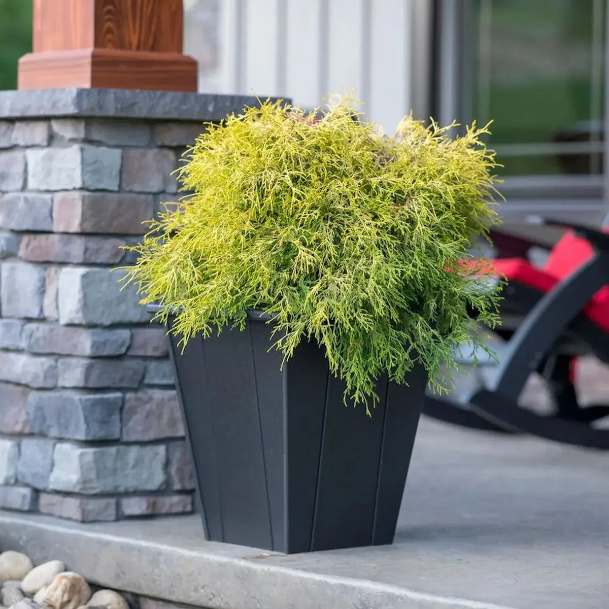 22" Elite Planter in Black