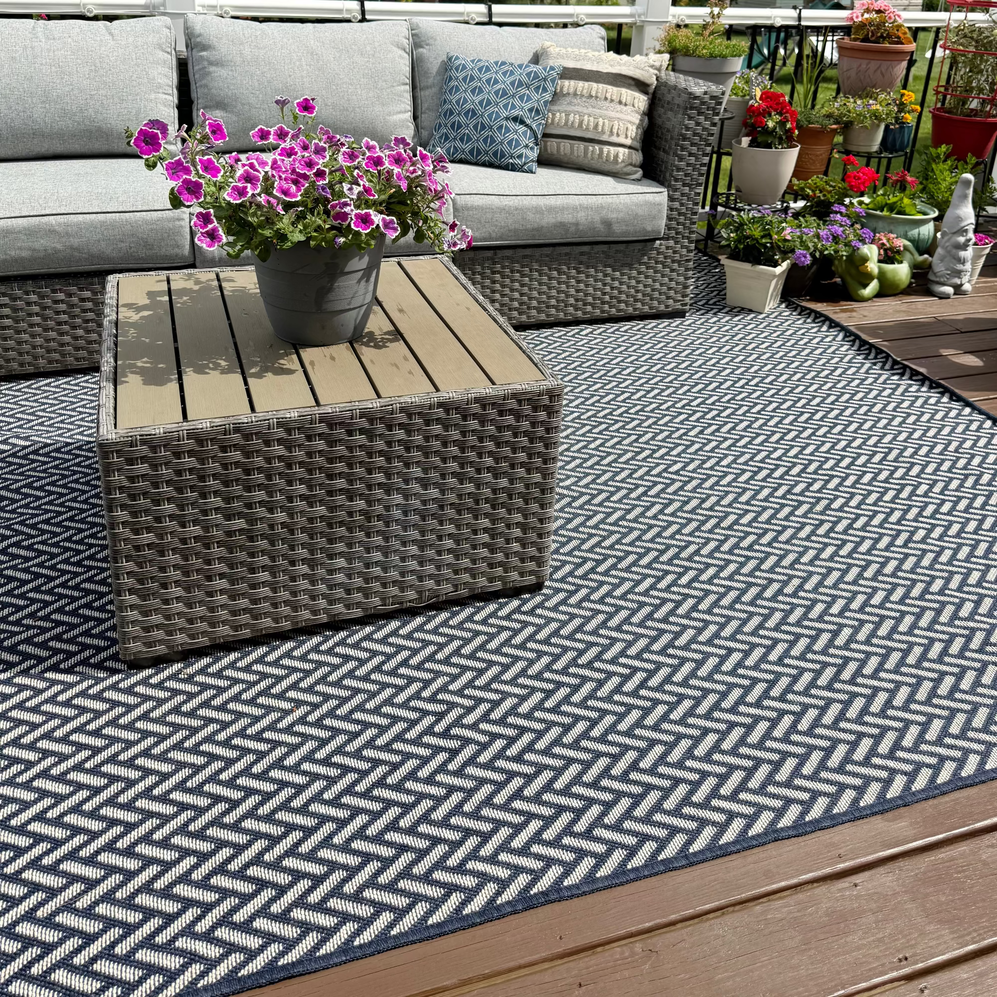 Navy on White Chevron