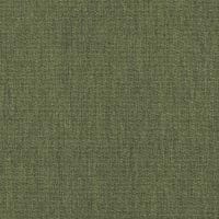 Canvas Fern